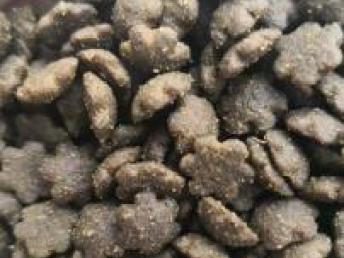 成都天然鮮肉狗糧罐頭源頭工廠 專業OEM貼牌代加工服務