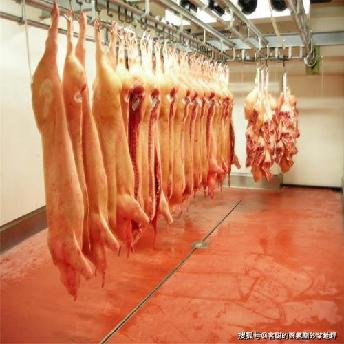 為何僅存儲(chǔ)鮮肉的食品廠冷庫(kù)對(duì)聚氨酯砂漿地坪存在深度依賴？——必須嚴(yán)守的機(jī)理選擇與技術(shù)突破口